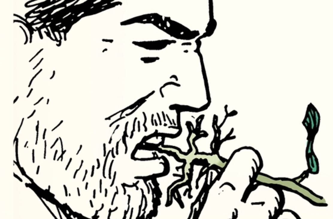 A drawing of a man eating an edible plant.
