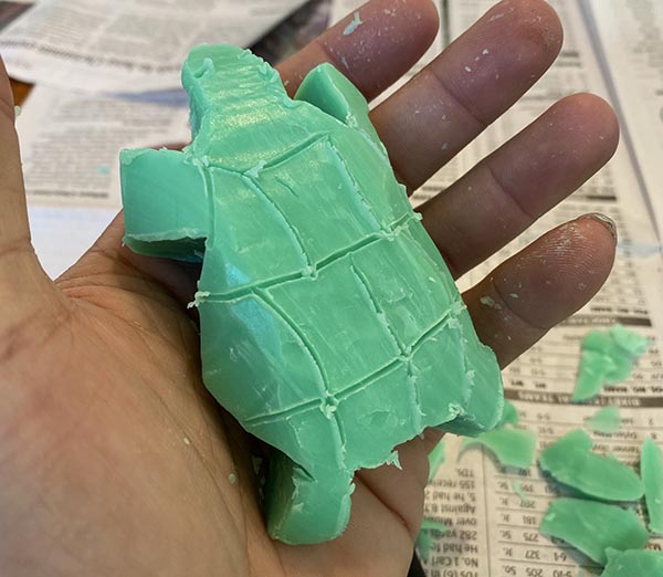 A person holding a turtle in their hand.