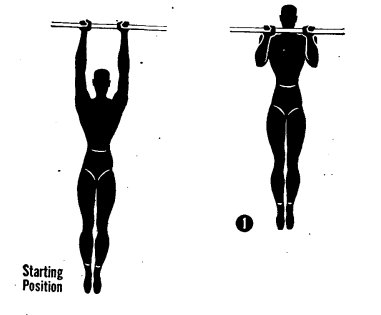 How to perform pull ups illustration military manual.