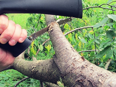 Survival shotgun modified zombie apocalypse saw cutting tree branch.