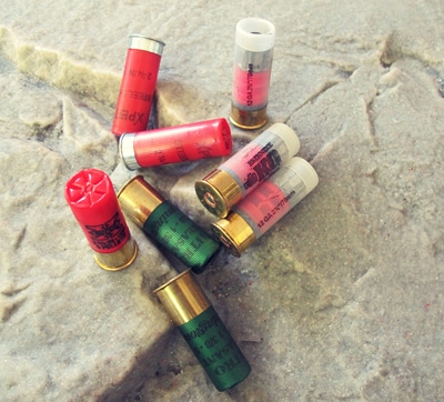 Bird shot buck shot slugs for mossberg shotgun.